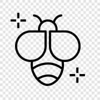 honey, pollination, swarm, colony icon svg