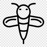 honey, pollination, honeybee, sting icon svg