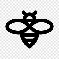 bal, bal arısı, apiary, arı kovanı ikon svg