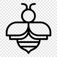 honey, apiary, beekeeping, pollination icon svg