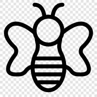 Honig, Bestäubung, Bienenzucht, Bienenzuchtausrüstung symbol
