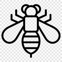 honey, honeybee, sting, pollination icon svg