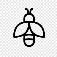 Honig, Bestäubung, Stacheln, Bienenstock symbol