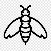 honey, beekeeping, pollination, beekeepers icon svg