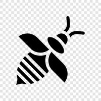 honey, apiary, beekeepers, pollination icon svg