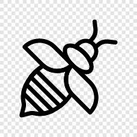 honey, pollination, sting, beekeeping icon svg