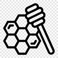 honeybee, honeycombs, honey production, honeybee health icon svg