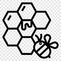 honeybees, pollination, honey production, honey harvesting icon svg