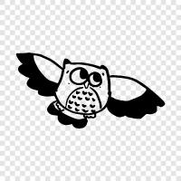 Hoot, tweet, email, computer icon svg