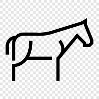 horse racing, horseback riding, thoroughbred, racing icon svg