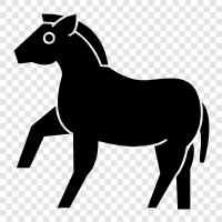 Pferderennen, Reiten, Pferderassen, Pferdepflege symbol
