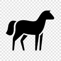 horse racing, riding, equestrian, carriage icon svg