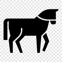 horse racing, horseback riding, horse ranching, horse training icon svg