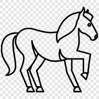 horseback riding, horse racing, horse training, horse care icon svg