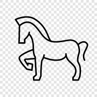 horseback riding, carriage, riding, saddle icon svg