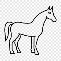 horseback riding, horse racing, horse breeding, horse care icon svg