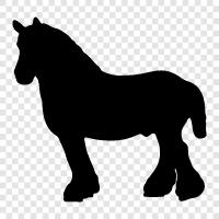 horsemanship, horse racing, horse racing betting, horse breeding icon svg