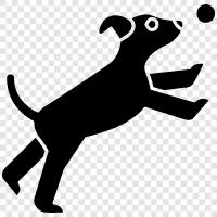 hound, hunting, canine, dog icon svg