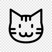 House, Purr, Cuddle, Play icon svg