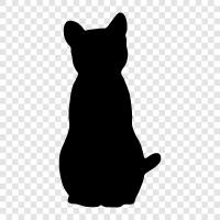 house cat, feline, house, felines icon svg