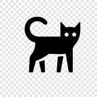 house cat, stray cat, house pet, pet cat icon svg