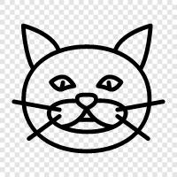 house cat, feline, purr, meow icon svg