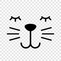 house cat, indoor cat, outdoor cat, pet cat icon svg