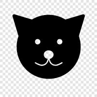 house cat, pet cat, feline, Garfield icon svg