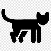 house cat, feline, felines, house pets icon svg