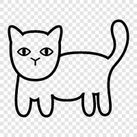 house cat, Siamese cat, black cat, white cat icon svg