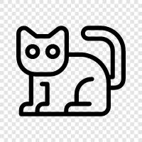 house cat, pet cat, house pet, all cat icon svg