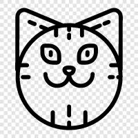 house cat, pet cat, feline, felines icon svg