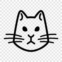 house cat, stray cat, feral cat, pet cat icon svg