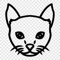 House Cat, Kitten, Tuxedo Cat, Ragdoll Cat icon svg