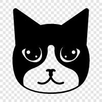 House, Pet, Feline, Cuddly icon svg