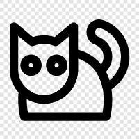 house, purr, cute, breed icon svg