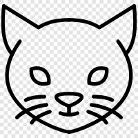 house, purr, meow, kitten icon svg