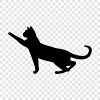 house, animal, cute, kitty icon svg