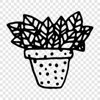 house plant, indoor plant, succulent, cactus icon svg
