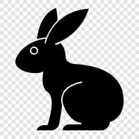 house rabbit, pet rabbit, caged rabbit, bunny icon svg