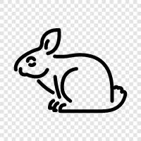 House Rabbit, Pet Rabbit, Feral Rabbit, House Rabbit Breeds icon svg