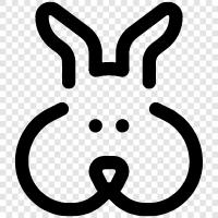 House Rabbit, Pet Rabbit, Feral Rabbit, House Rabbit Breeders icon svg