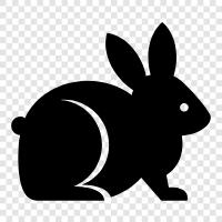 house rabbit, pet rabbit, bunny, bunny rabbits icon svg