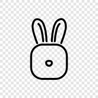 house rabbit, bunny, cottontail, hare icon svg