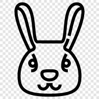 House Rabbit, Pet Rabbit, House Rabbit Care, Rabbit icon svg