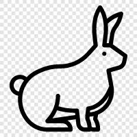 House Rabbit, Pet Rabbit, Lop Rabbit, Flemish Giant Rabbit icon svg