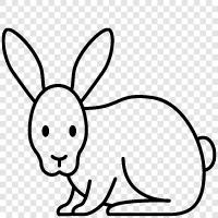 House Rabbit, Pet Rabbit, Cottontail Rabbit, hare icon svg