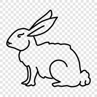 house rabbit, cavy, pet rabbit, bunny icon svg