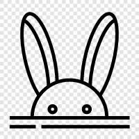 House Rabbit, Pet Rabbit, Animal, House Pet icon svg