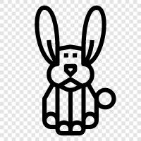 house rabbit, pet rabbit, bunny, small animal icon svg